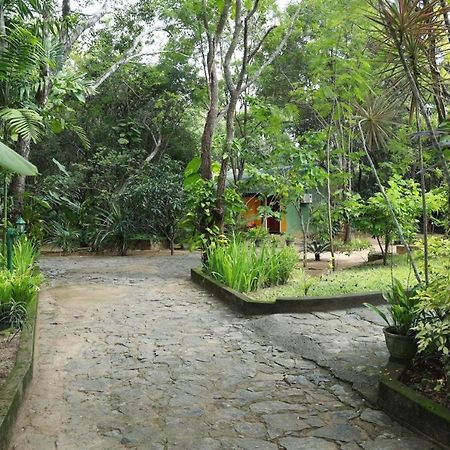 Jays Holiday Resort Хабарана Экстерьер фото