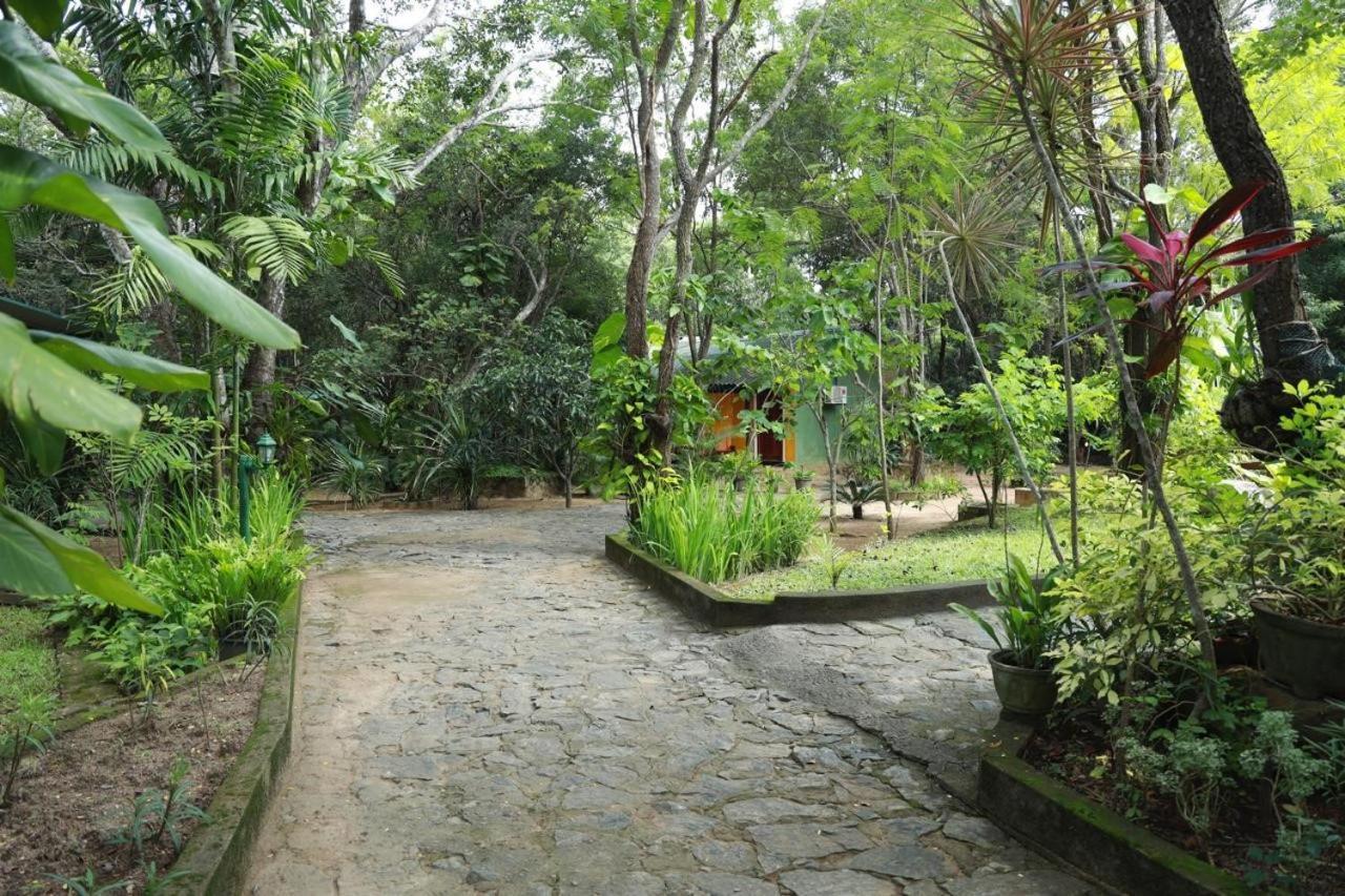 Jays Holiday Resort Хабарана Экстерьер фото