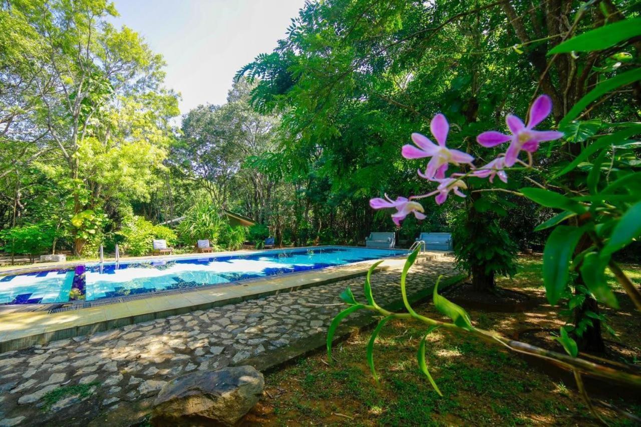 Jays Holiday Resort Хабарана Экстерьер фото