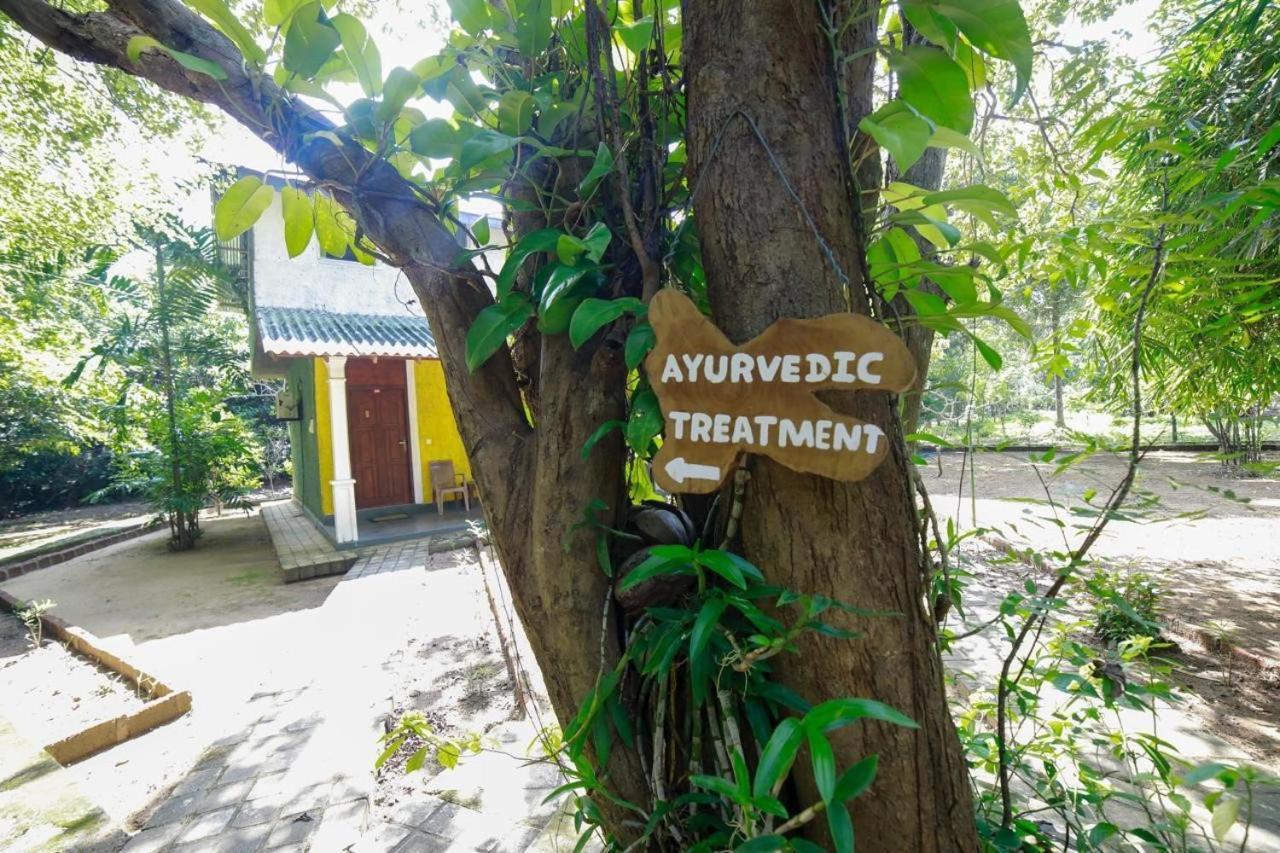 Jays Holiday Resort Хабарана Экстерьер фото
