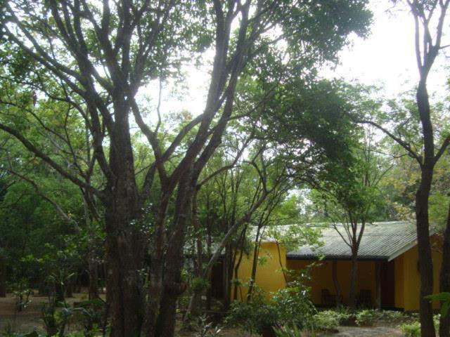 Jays Holiday Resort Хабарана Экстерьер фото