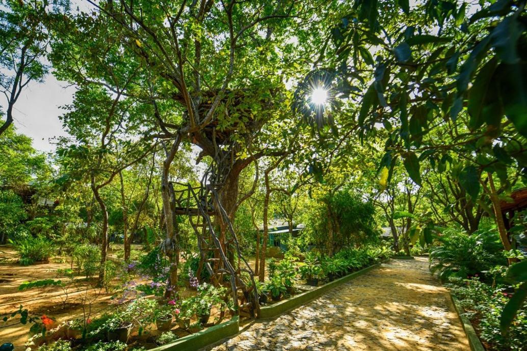 Jays Holiday Resort Хабарана Экстерьер фото