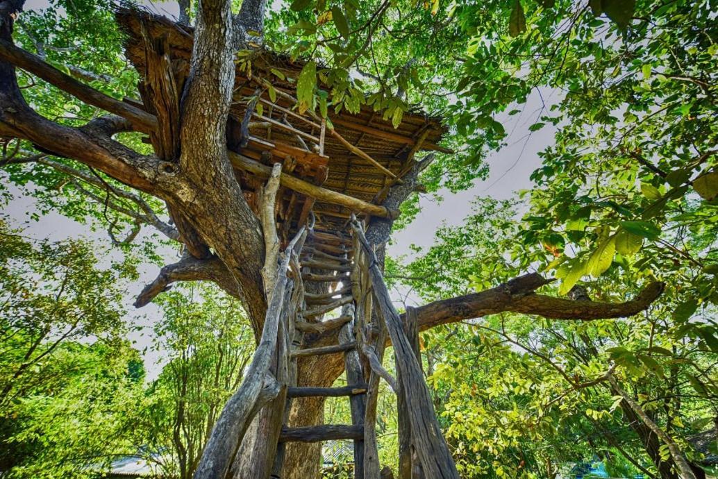 Jays Holiday Resort Хабарана Экстерьер фото